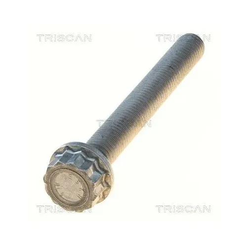 Csavar Audi A4 08- - TRISCAN (85010528)