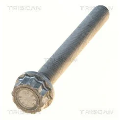 Csavar Audi A4 08- - TRISCAN (85010528)