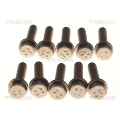 Csavar Audi A4 01- - TRISCAN (85010526)
