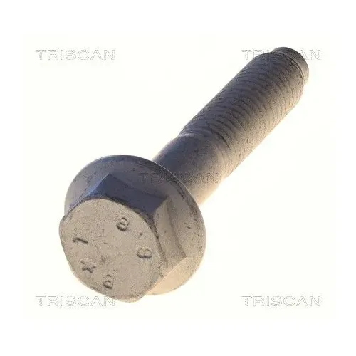 Csavar Audi Q3 12- - TRISCAN (85010538)