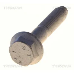 Csavar Audi Q3 12- - TRISCAN (85010538)