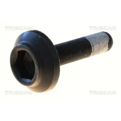 Csavar Audi A4 01- - TRISCAN (85010550)