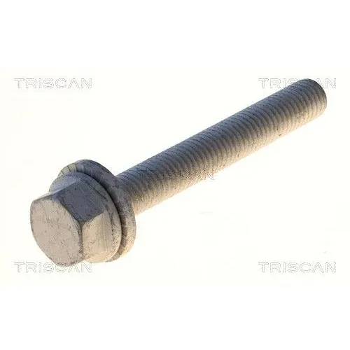 Csavar Audi A6 11- - TRISCAN (85010542)