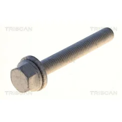 Csavar Audi A6 11- - TRISCAN (85010542)