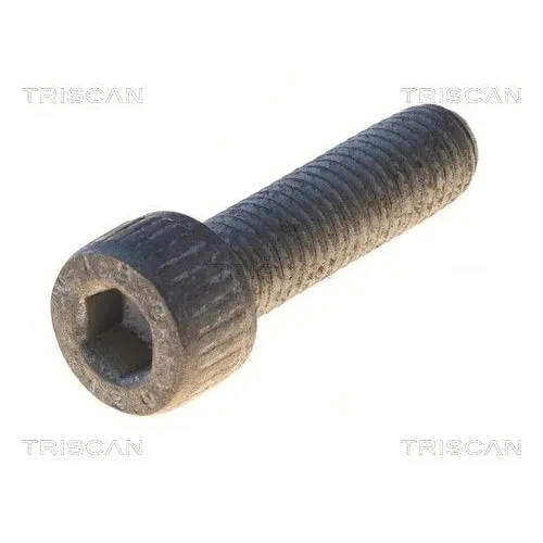 Csavar Vw Passat 91-94 - TRISCAN (85010529)