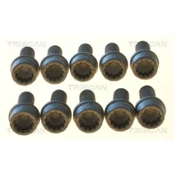 Csavar Vw Golf 03- - TRISCAN (85010507)