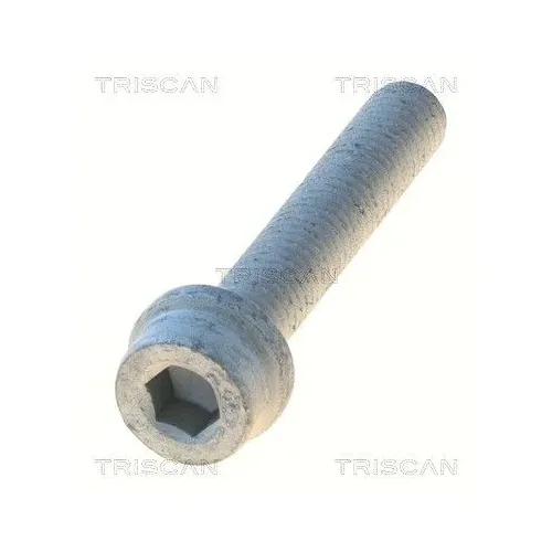 Csavar Vw Transporter 91-04 - TRISCAN (85010525)