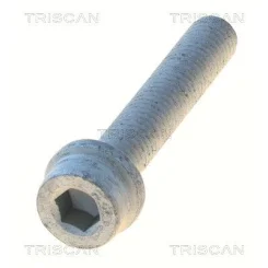 Csavar Vw Transporter 91-04 - TRISCAN (85010525)