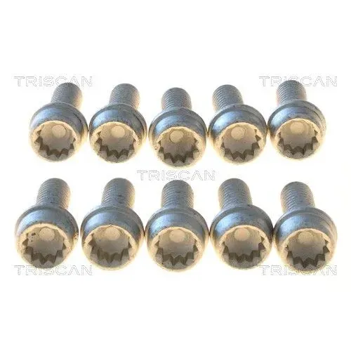 Csavar Vw 1,2-2,0 Tdi 99- - TRISCAN (85010506)