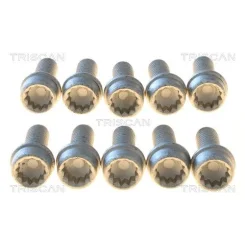 Csavar Vw 1,2-2,0 Tdi 99- - TRISCAN (85010506)