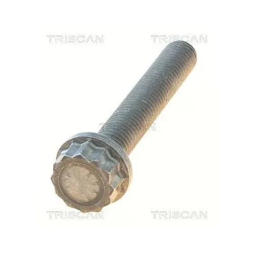 Csavar Audi A4 08- - TRISCAN (85010546)