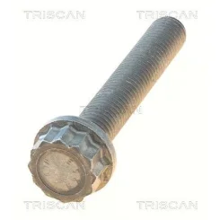 Csavar Audi A4 08- - TRISCAN (85010546)