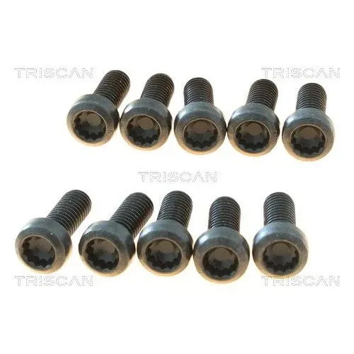 Csavar Vw Transporter 03- - TRISCAN (85010524)