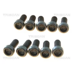 Csavar Vw Transporter 03- - TRISCAN (85010524)
