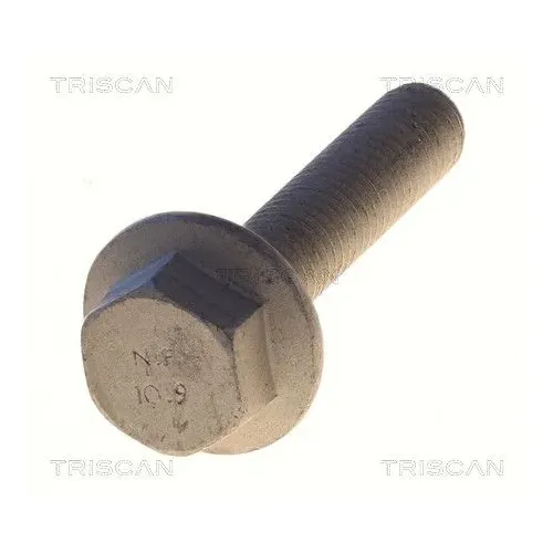 Csavar Audi A3 13- - TRISCAN (85010531)