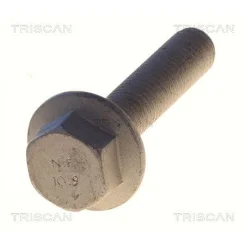 Csavar Audi A3 13- - TRISCAN (85010531)