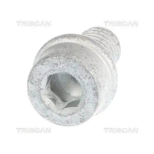 Csavar Vw 1.9 Tdi/Sdi (M8X14) - TRISCAN (85010518)