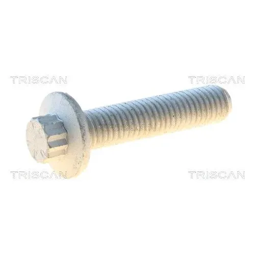 Csavar Vw Tiguan 08- - TRISCAN (85010541)