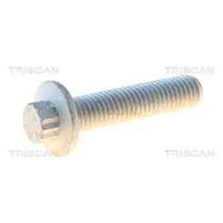 Csavar Vw Tiguan 08- - TRISCAN (85010541)