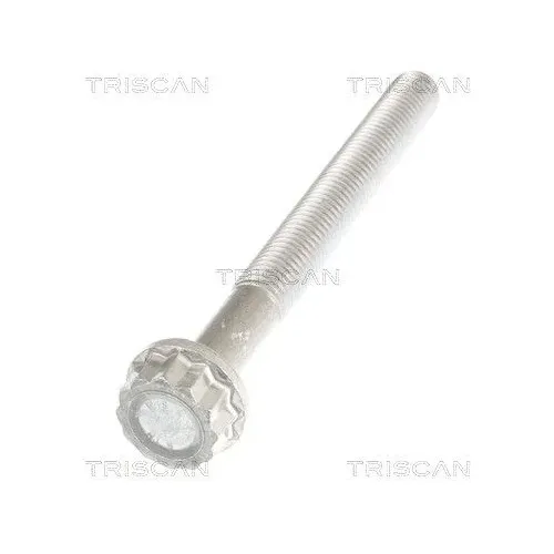 Csavar Audi A4 08- - TRISCAN (85010547)