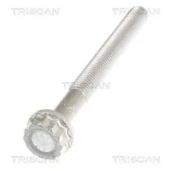 Csavar Audi A4 08- - TRISCAN (85010547)