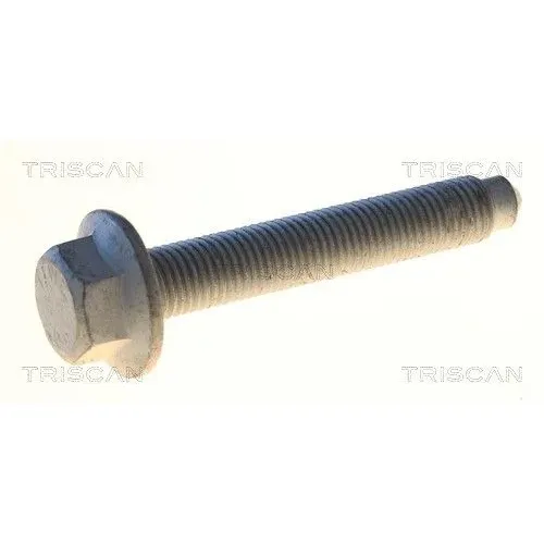 Csavar Vw Polo 02- - TRISCAN (85010530)