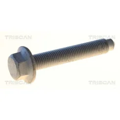 Csavar Vw Polo 02- - TRISCAN (85010530)