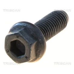 Csavar Vw Golf 04- - TRISCAN (85010516)