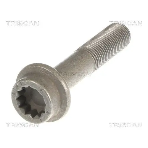 Csavar Audi A4 05- - TRISCAN (85010523)