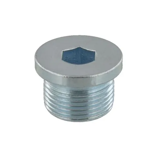 Csavar, Zárósapka Gwintowany M22 Hosszú 14Mm - TOPRAN (HP115 347)