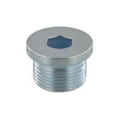 Csavar, Zárósapka Gwintowany M22 Hosszú 14Mm - TOPRAN (HP115 347)