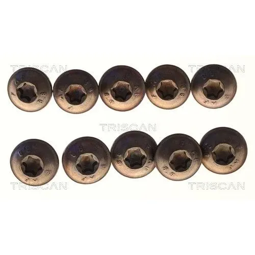 Csavar Audi A4 08- - TRISCAN (85010504)