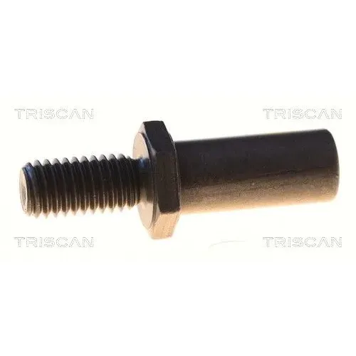 Csavar Vw Golf 04- - TRISCAN (85010535)