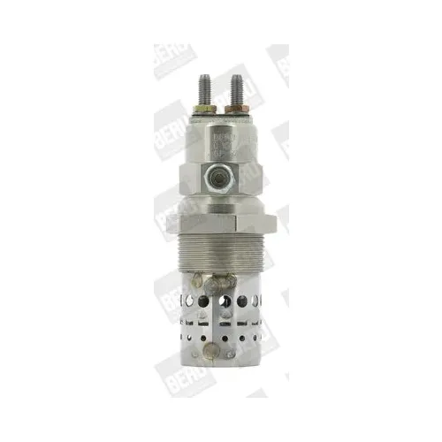 Izzítógyertya - BorgWarner (BERU) (BERGF529)