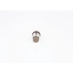 BOSCH (1110010013)