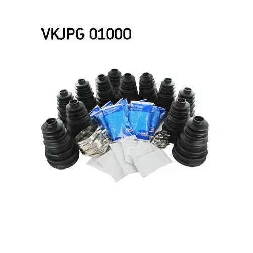 SKF (VKJPG01000)