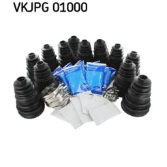SKF (VKJPG01000)