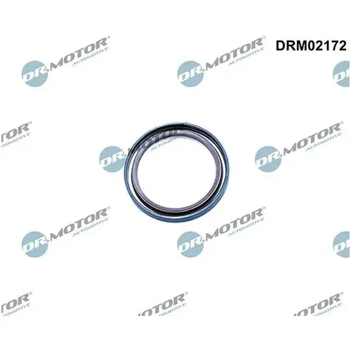 Tömítőgyűrű, Főtengely - DRM (DRM02172)