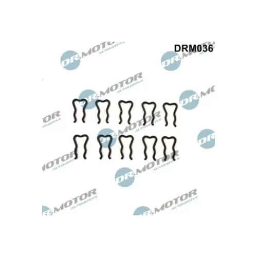 Tartórugó - DRM (DRM036)