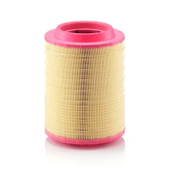 Légszűrő - MANN-FILTER (C25660/2)