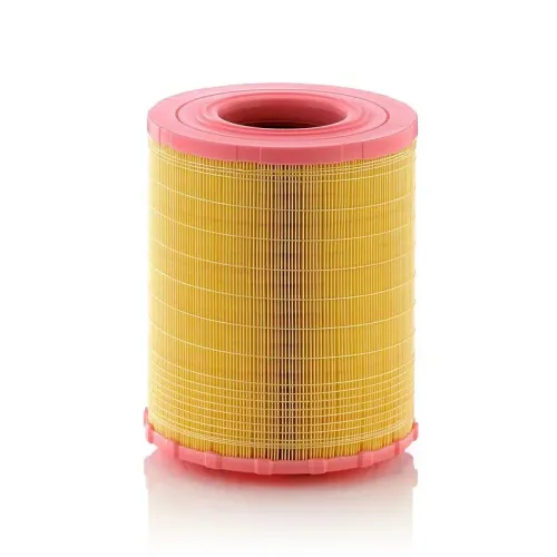 Légszűrő - MANN-FILTER (C29010)