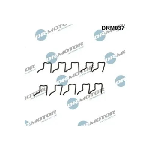 Tartórugó - DRM (DRM037)