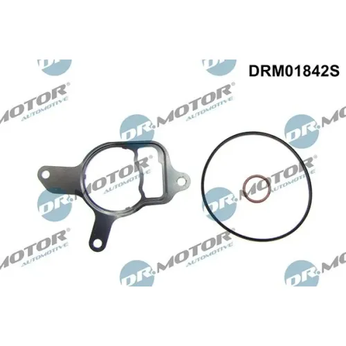 Tömítéskészlet, Vákuumszivattyú Vw - DRM (DRM01842S)
