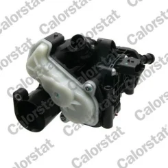 Termosztát, Hűtőfolyadék Psa 98C 2,0 Bluehdi (Modul) - CALORSTAT by Vernet (TM2402J)